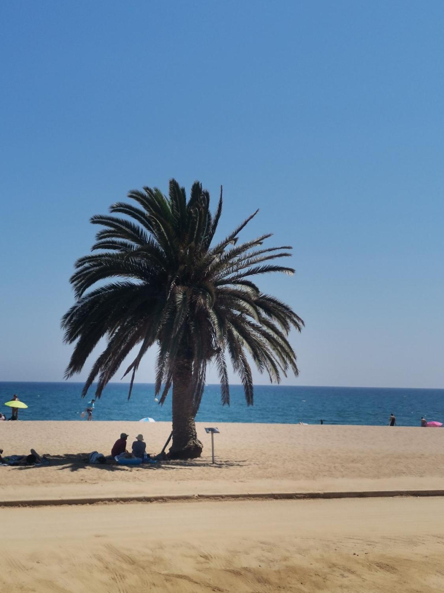 Apartamento Centrico En Calella Esterno foto